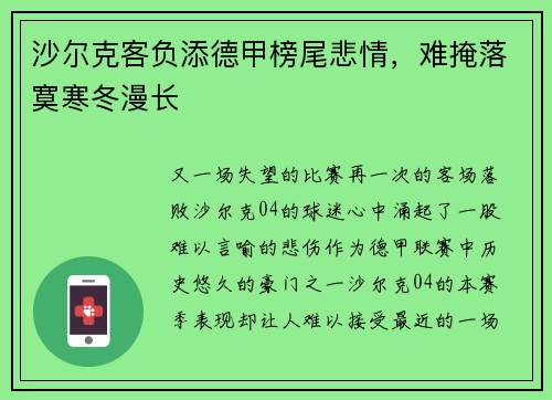 沙尔克客负添德甲榜尾悲情，难掩落寞寒冬漫长