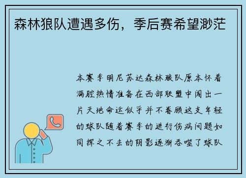 森林狼队遭遇多伤，季后赛希望渺茫