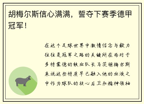 胡梅尔斯信心满满，誓夺下赛季德甲冠军！